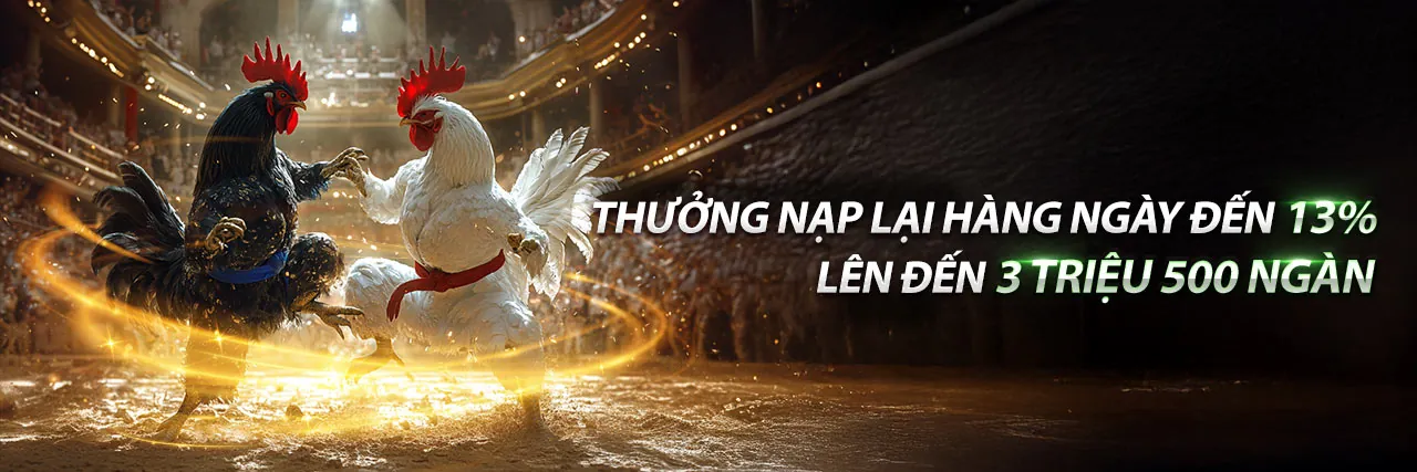 Sảnh Đá Gà Trực Tuyến Đỉnh Cao bi88 login 2026 với ưu đãi khủng