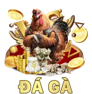 Ưu đãi và khuyến mãi độc quyền